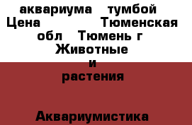 2 аквариума c тумбой › Цена ­ 12 000 - Тюменская обл., Тюмень г. Животные и растения » Аквариумистика   